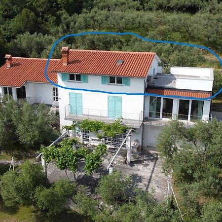 House Among Olive Trees With A Sea View 1 Apartment อังคาราน ภายนอก รูปภาพ