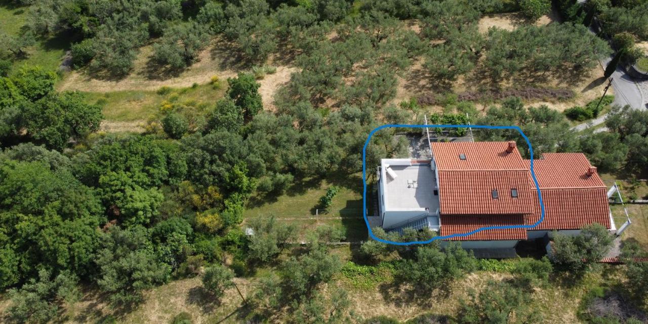 House Among Olive Trees With A Sea View 1 Apartment อังคาราน ภายนอก รูปภาพ