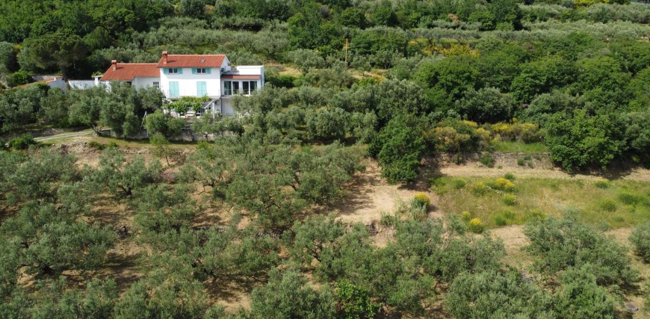 House Among Olive Trees With A Sea View 1 Apartment อังคาราน ภายนอก รูปภาพ