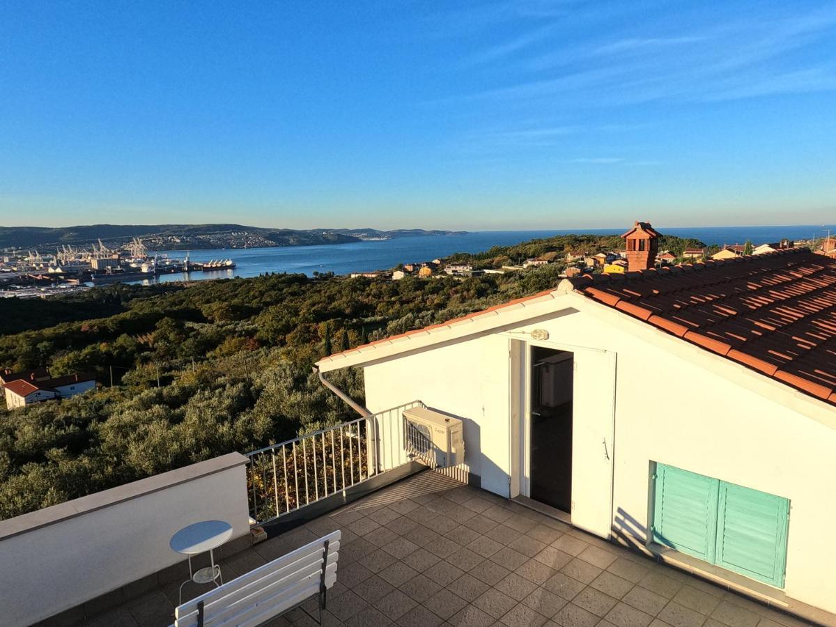 House Among Olive Trees With A Sea View 1 Apartment อังคาราน ภายนอก รูปภาพ