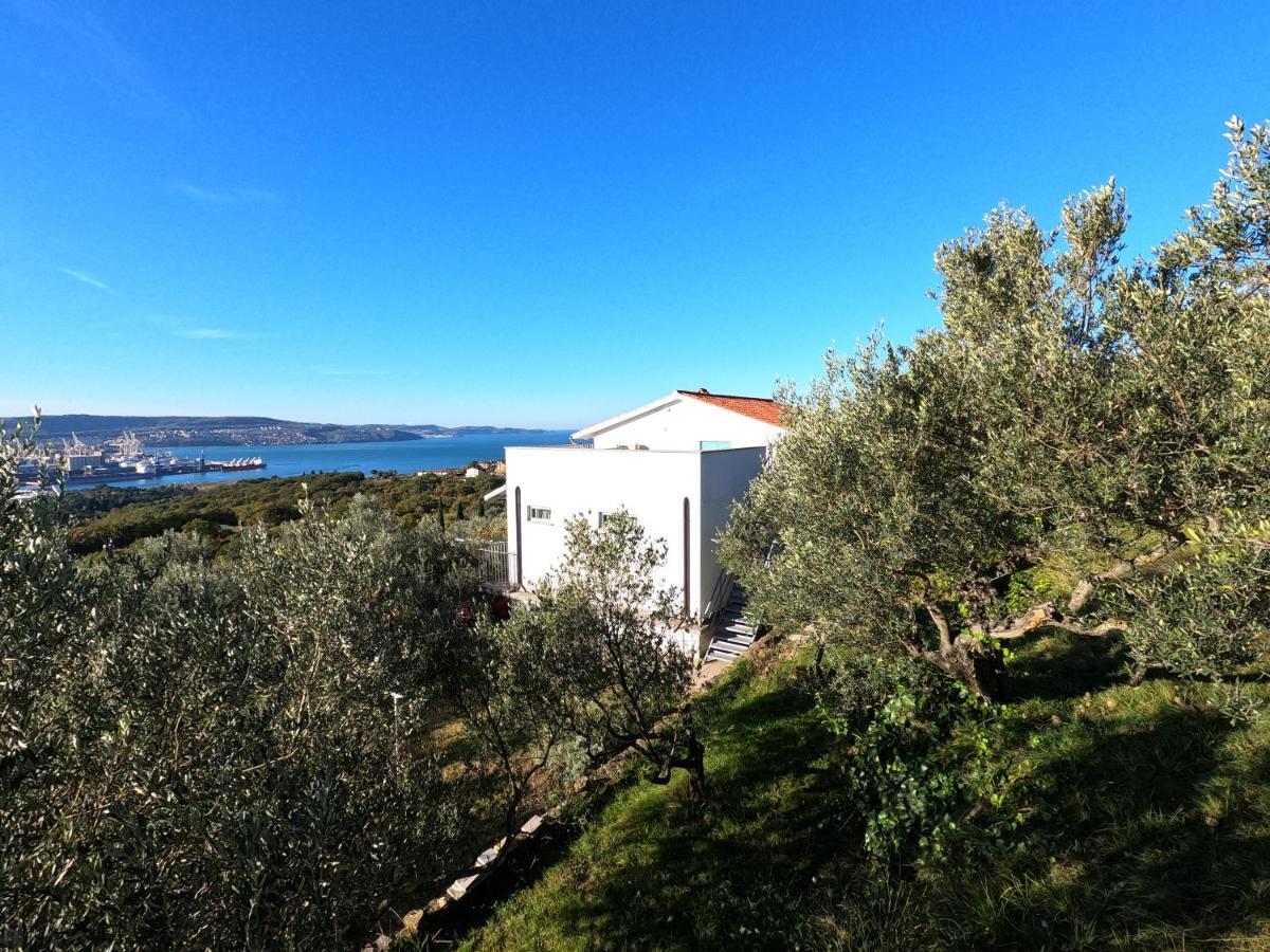 House Among Olive Trees With A Sea View 1 Apartment อังคาราน ภายนอก รูปภาพ